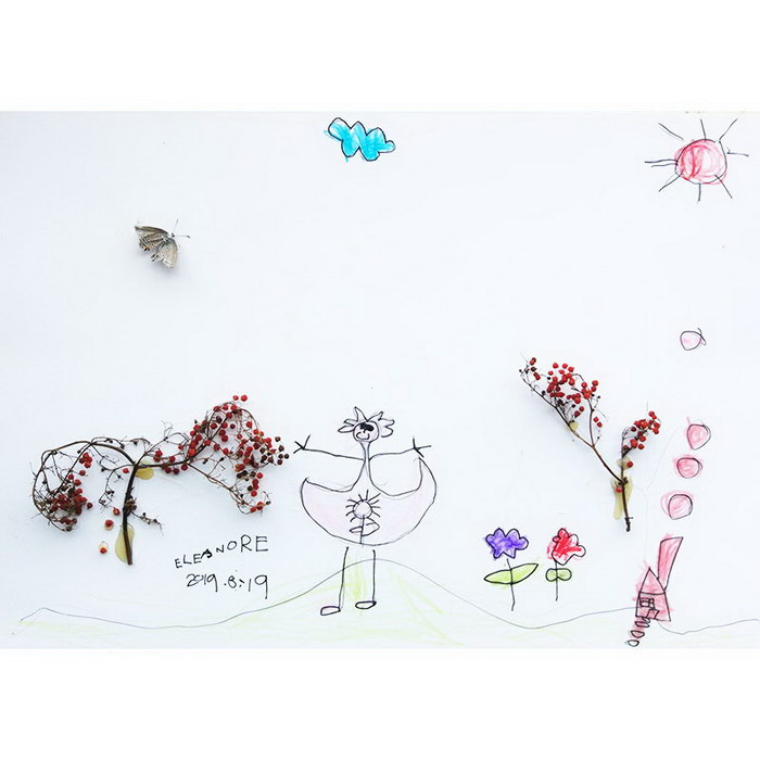 Botanical Specimen - Sambucus chinensis Lindl.#Botanical Painting#