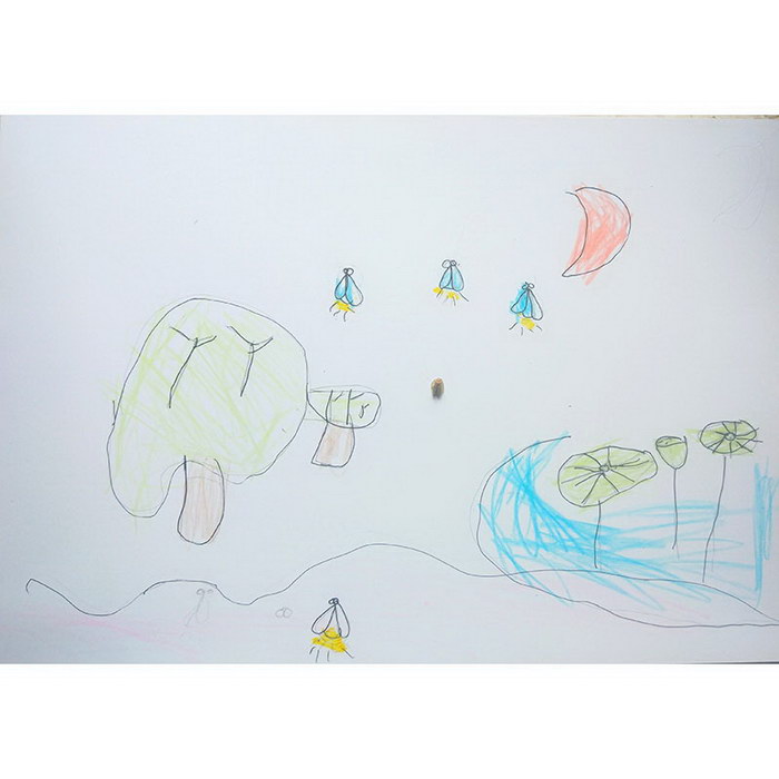 Insect Specimen - Lampyridae#Insect Painting#