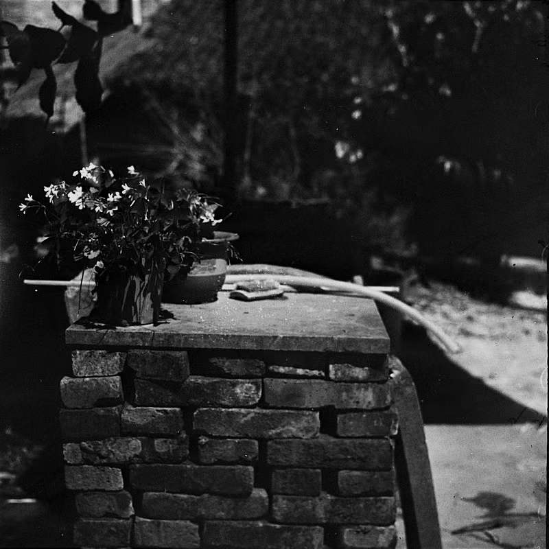 Photography20220507#Photography#