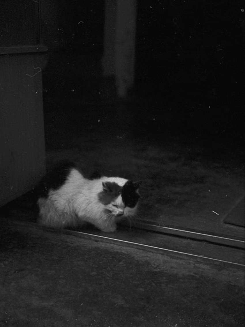 Photography202311-1#Photography#