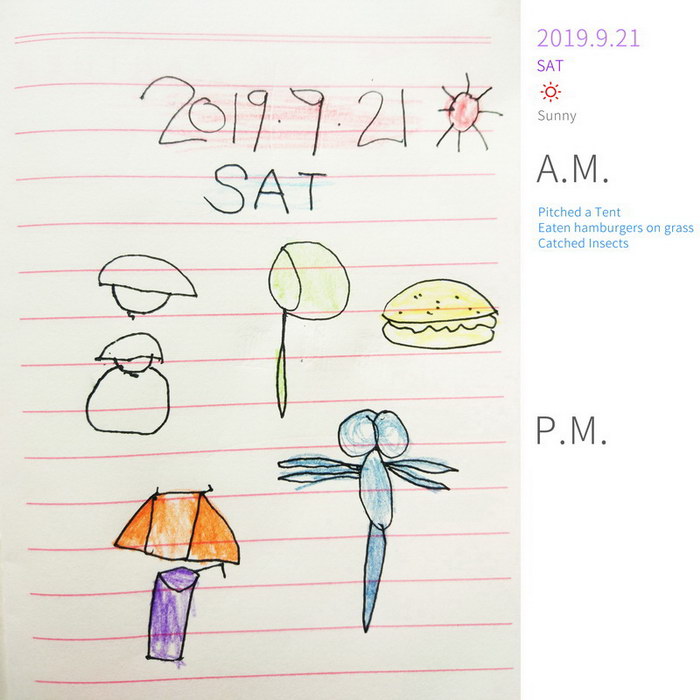 #Diary#Catched Insects#