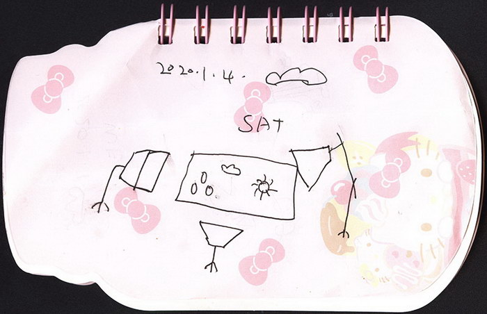 #Diary#Recorded Weather Forecast Video#SAT CLOUDY